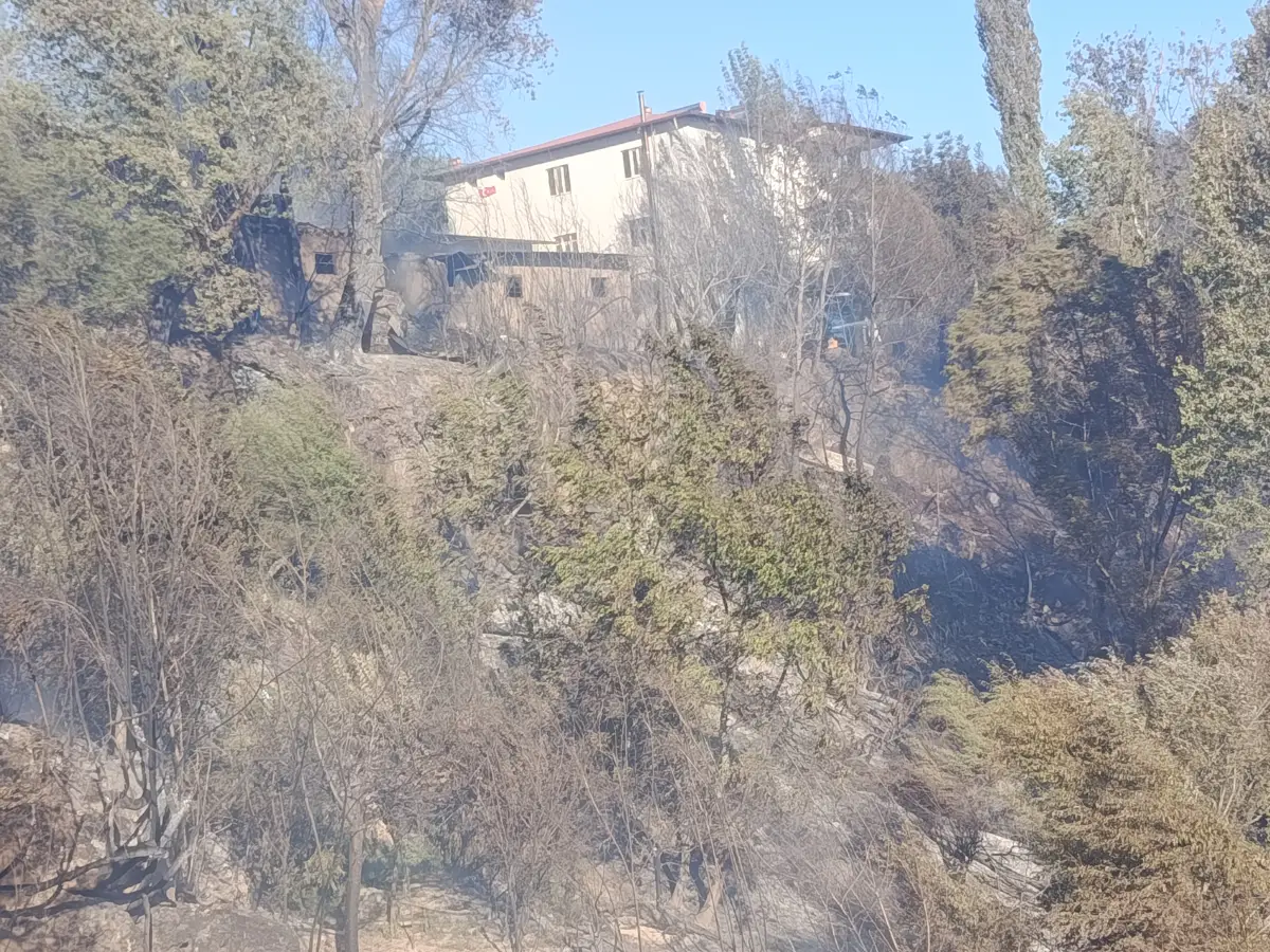 Darende'deki yangın kontrol altına alındı: 2 ahır yandı, 3 kişi dumandan etkilendi